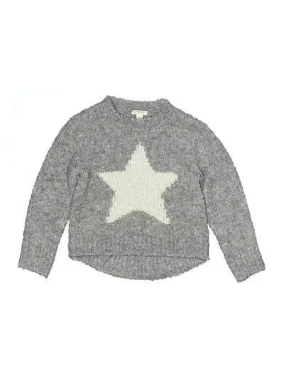 Pre-owned Crewcuts Kids' Pullover Sweater In Gray