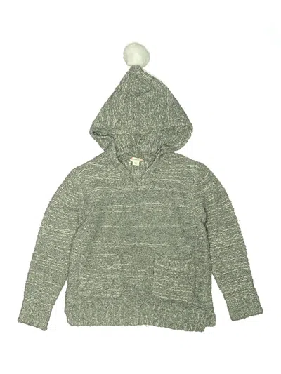Pre-owned Crewcuts Kids' Pullover Sweater In Green
