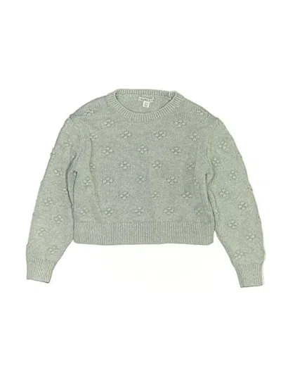 Pre-owned Crewcuts Kids' Pullover Sweater In Green