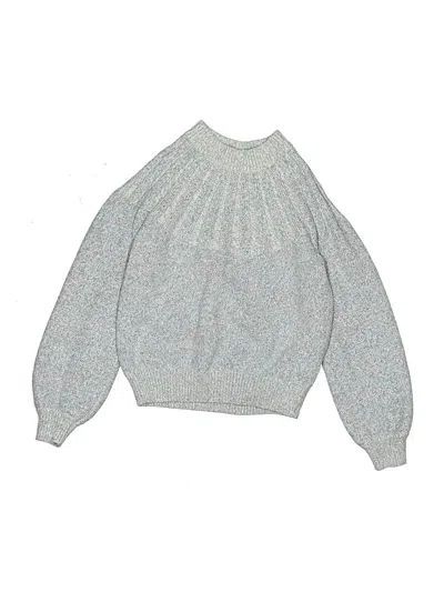 Pre-owned Crewcuts Kids' Pullover Sweater In Silver