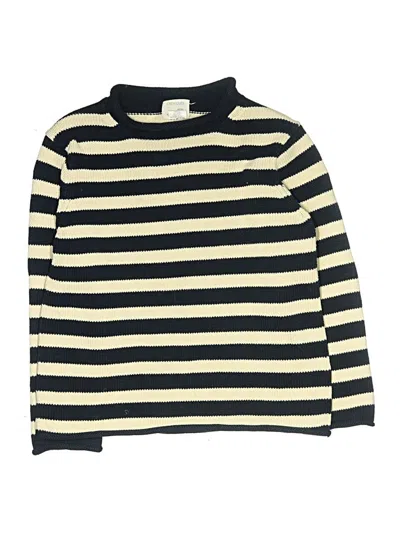 Pre-owned Crewcuts Kids' Turtleneck Sweater In Blue