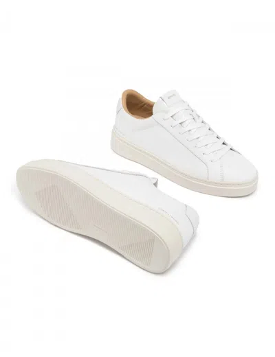 Crime London Sneakers In White