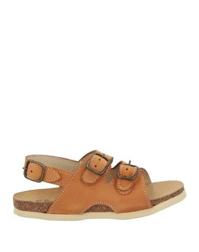 Crio's Babies'  Toddler Boy Sandals Camel Size 10c Leather In Beige