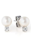 Crislu Cultured Pearl Stud Earrings In Pearl/ivory