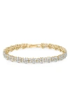 Crislu Multi Cluster Cubic Zirconia Bracelet In Gold