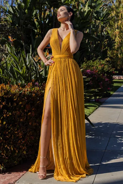 Cristallini Gold Silk Chiffon Metallic Effect Gown In Gold