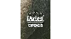 Crocs Aries Arise X  Classic Clog