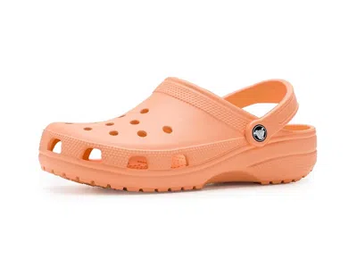 CROCS CLASSIC CLOG CLOG SHOES ELECTRIC SUNSTONE :