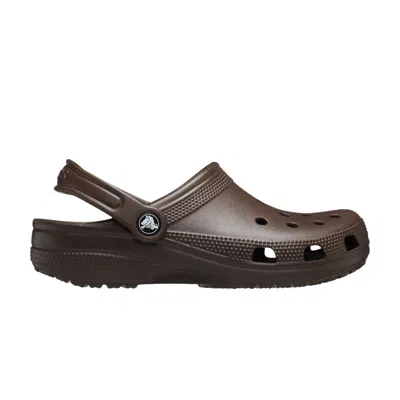 Pre-owned Crocs Classic Clog 'coffee' | Brown | Men's Size 6