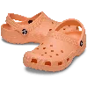 Crocs Classic Clog In Multi