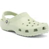 Crocs Classic Clog In Plaster
