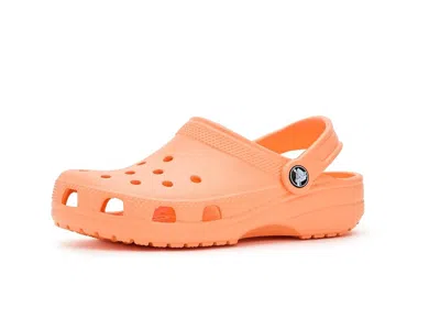Crocs Classic Clogs (little Kid/big Kid) Kids Shoes Electric Sunstone : 12 Little Kid M, Eva In Orange