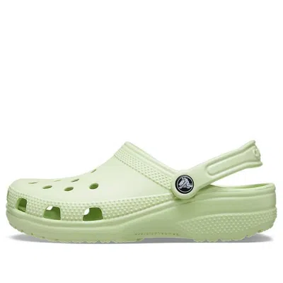 Crocs Classic Clog In Celery