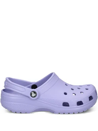 Crocs Classic Perforated Clogs In Purple
