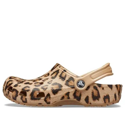 Crocs Classic Printed Clog In Leopard/gold