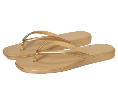 Crocs Flip Flop In Gold