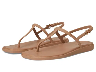 Crocs Miami Thong Sandal In Brown