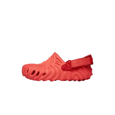 Crocs Kids' Pollex Clog Begonia 208600-6wn Pre-school In Orange