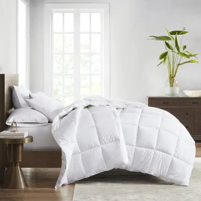 Croscill Signature Dobby Cotton Down Alternative Comforter In White