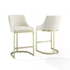 Crosley Furniture Esme 2-piece Counter Height Bar Stool Set
