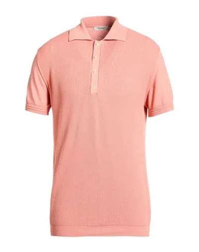 Crossley Man Polo Shirt Salmon Pink Size Xl Cotton