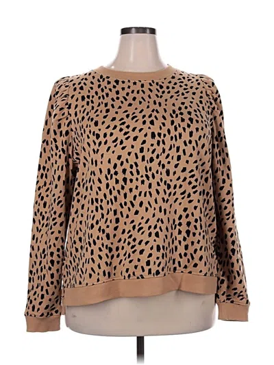 Pre-owned Crown & Ivy Pullover Sweater In Brown