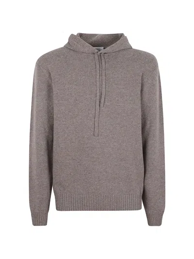 Cruciani Drawstring-hood Knitted Hoodie In Brown