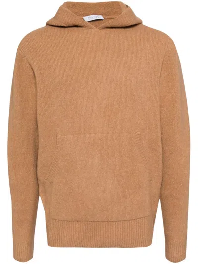 Cruciani Hooded Jumper In Brown