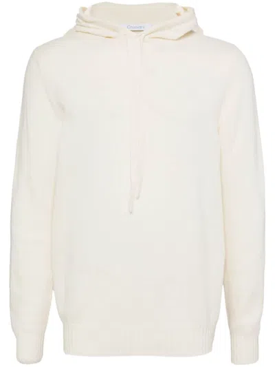 Cruciani Hooded Jumper In Neutrals