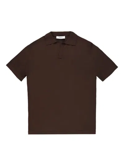 Cruna Cotton Polo Shirt In Brown