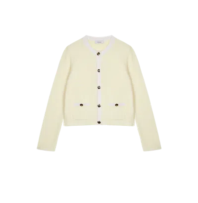 Crush Collection Wool Striped Crewneck Cardigan In Medium Blue