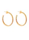 Crystal Haze Serena 18kt Gold-plated Hoop Earrings In Multi
