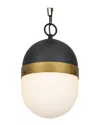 Crystorama 1-light Capsule Outdoor Pendant