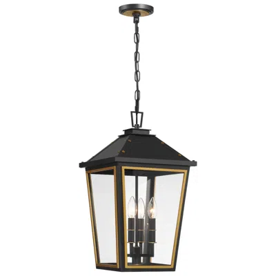 Crystorama Hawkins 21 1/2"h Black W/ Gold 4-light Outdoor Hanging Light