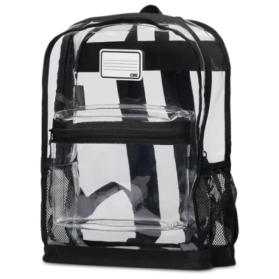 Csg Baseline Backpack In Transparent