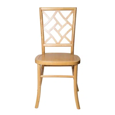 Csp Set Of 1 Mosaic Dining Chair - Tinted Raw