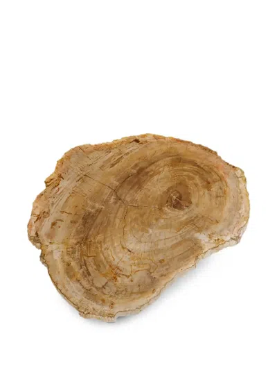 Cu I Seeyou Petrified Wood Platter In Neutral