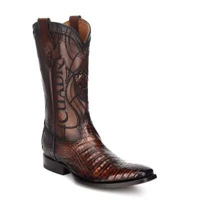 Pre-owned Cuadra 3c1nfy -  Brown Dress Cowboy Exotic Caiman Leather Boots For Men