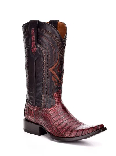 Pre-owned Cuadra 1b41fy Crocodile Western Boots Made By  Boots In L Whisky