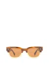 Cubitts Cubitts Sunglasses In Brown