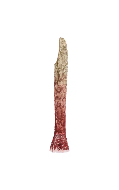 Cucculelli Shaheen Sunset Degradé Dentelle Sleeves In Multi