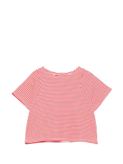 Cucù Lab Kids' Striped Short-sleeve Cotton T-shirt In Red