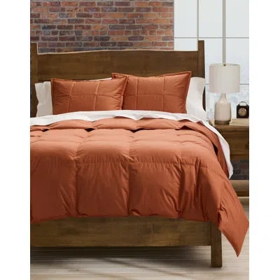 Cuddledown Chroma Down Comforter, Twin All Season Copper In Orange