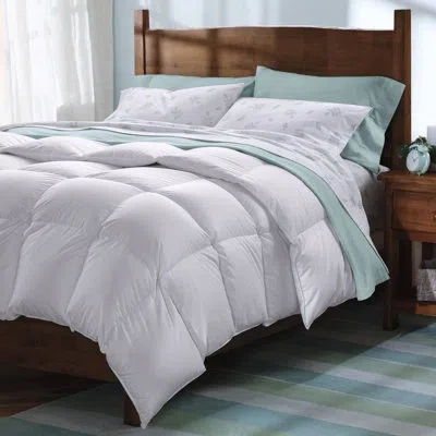 Cuddledown Percale Down Alternative Comforter, Twin All Season In White