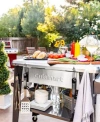 Cuisinart Bbq Gadgets In Multi