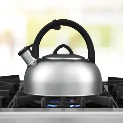 Cuisinart Classic Brillance 2 Qt. Stainless Tea Kettle In Stainless Steel,black
