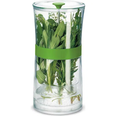 CUISIPRO CUISIPRO ORIGINAL HERB KEEPER KEEPS HERBS FRESH STORAGE CONTAINER