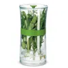Cuisipro Original Herb Keeper Keeps Herbs Fresh Storage Container In Green