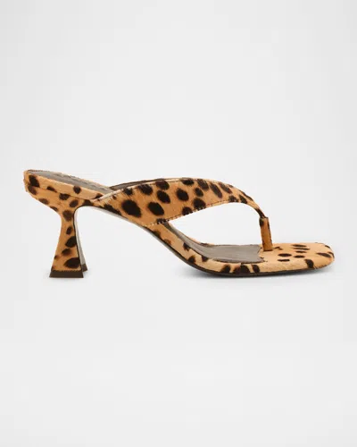 Cult Gaia 65mm Abi Cheetah Calf Hair Thong Sandals In Blue