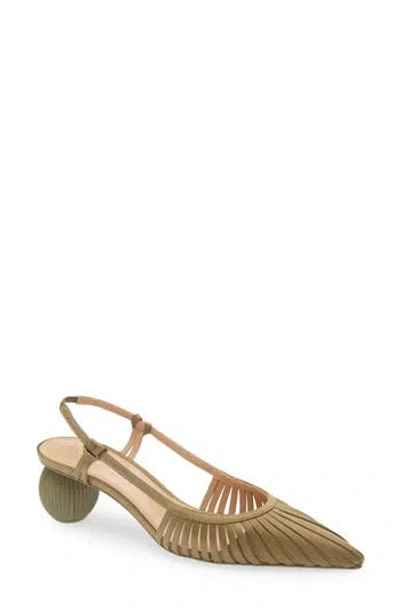Cult Gaia Alia Pointed Toe Slingback Pump In Fiji